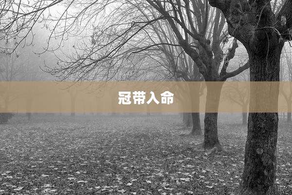 冠带入命