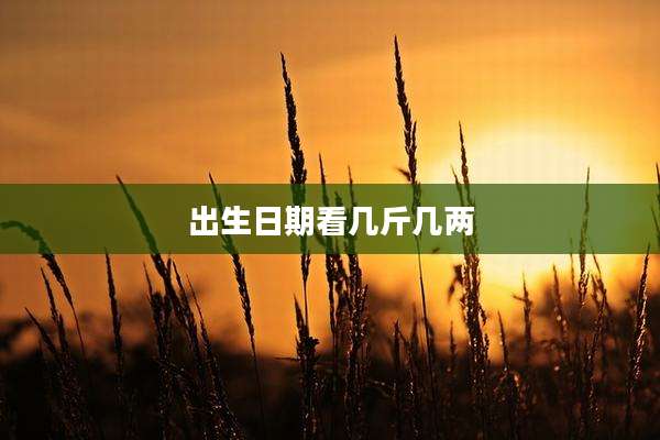出生日期看几斤几两