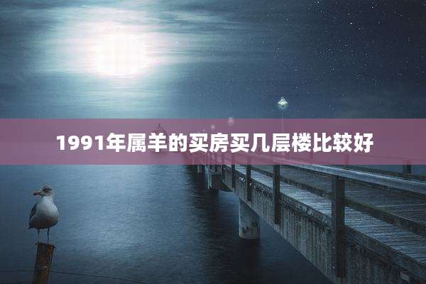 1991年属羊的买房买几层楼比较好