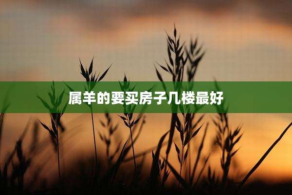 属羊的要买房子几楼最好
