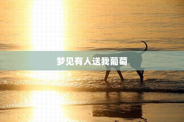 梦见有人送我葡萄