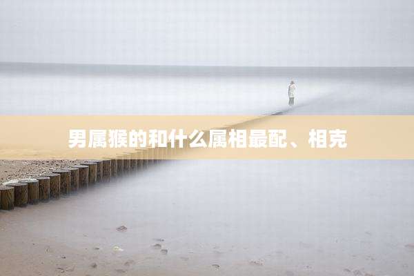 男属猴的和什么属相最配、相克