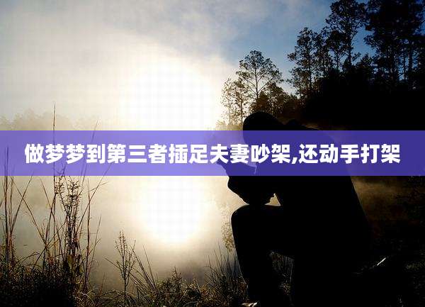 做梦梦到第三者插足夫妻吵架,还动手打架