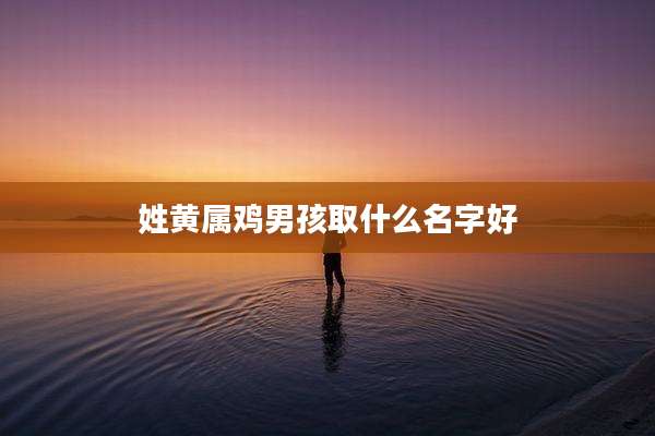 姓黄属鸡男孩取什么名字好
