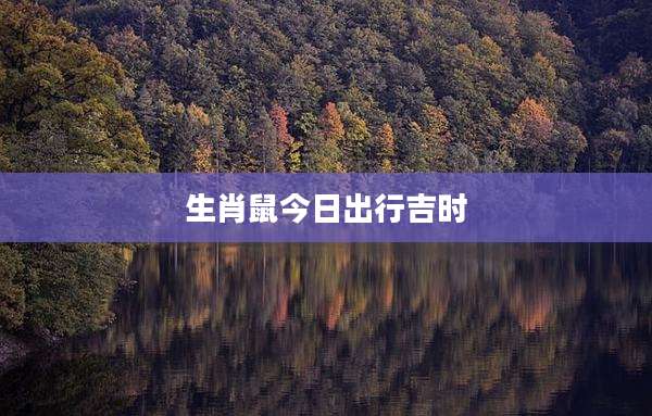 生肖鼠今日出行吉时
