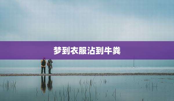 梦到衣服沾到牛粪