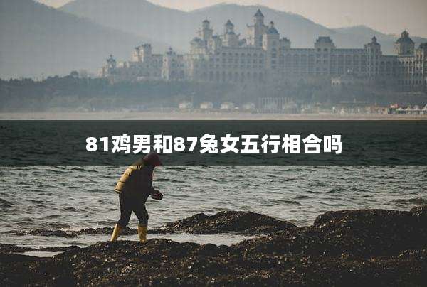 81鸡男和87兔女五行相合吗