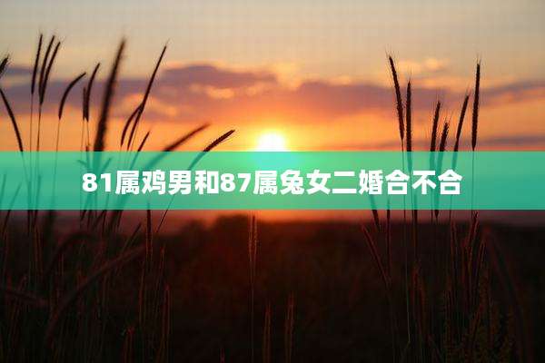 81属鸡男和87属兔女二婚合不合