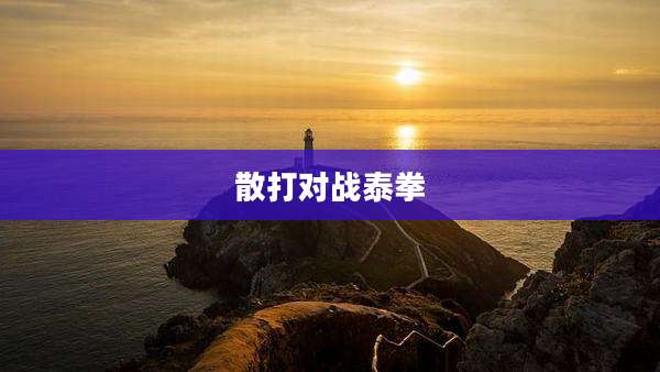 散打对战泰拳
