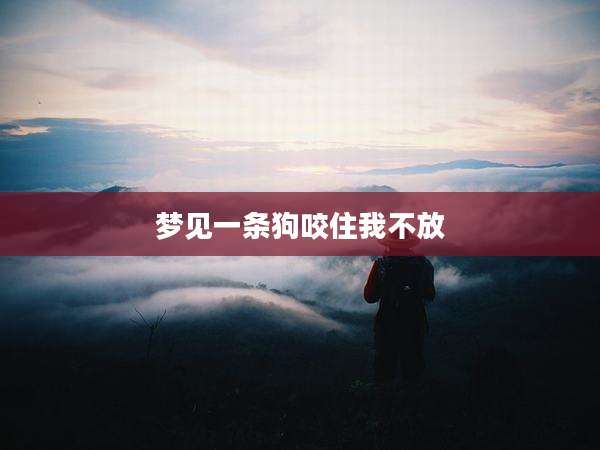 梦见一条狗咬住我不放