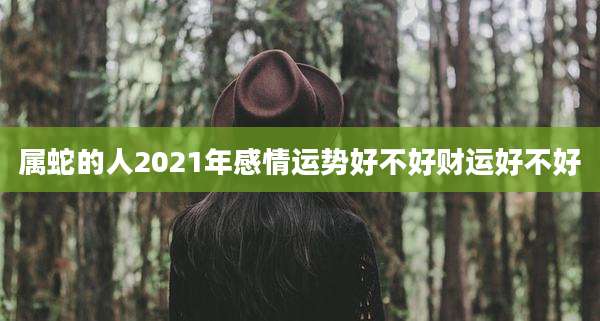 属蛇的人2021年感情运势好不好财运好不好