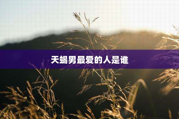 天蝎男最爱的人是谁