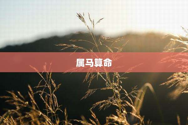 属马算命