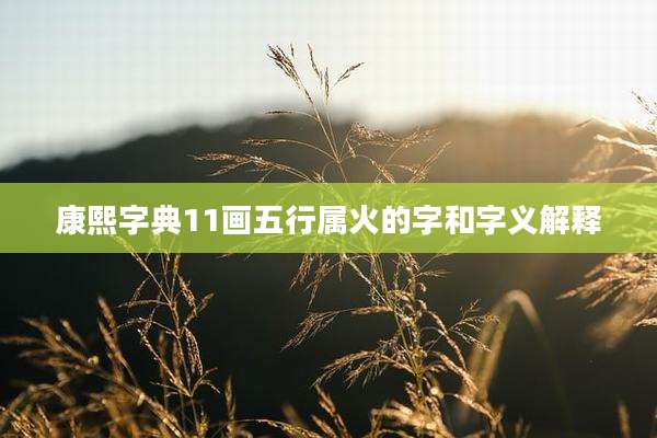 康熙字典11画五行属火的字和字义解释