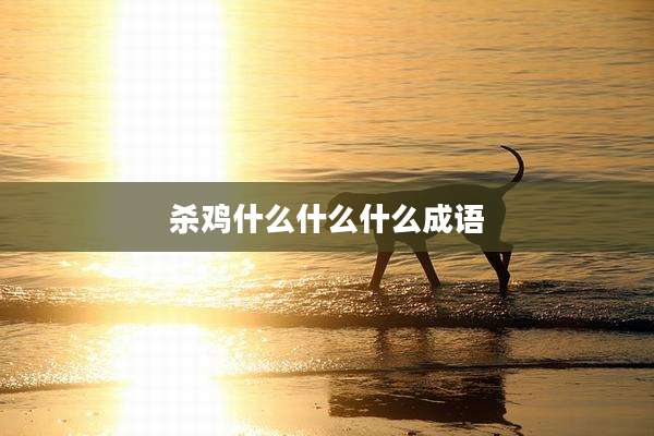 杀鸡什么什么什么成语