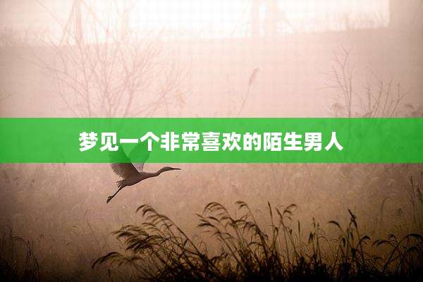 梦见一个非常喜欢的陌生男人