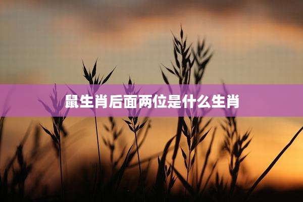 鼠生肖后面两位是什么生肖