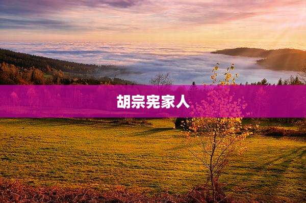 胡宗宪家人
