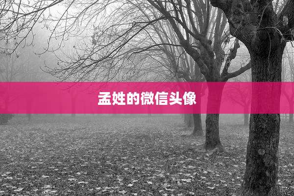 孟姓的微信头像