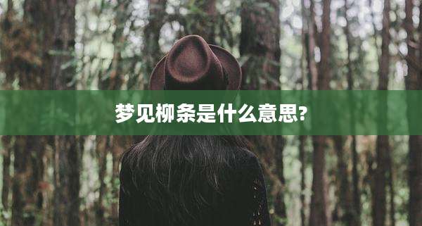 梦见柳条是什么意思?