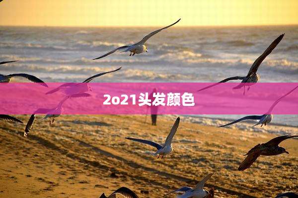 2o21头发颜色