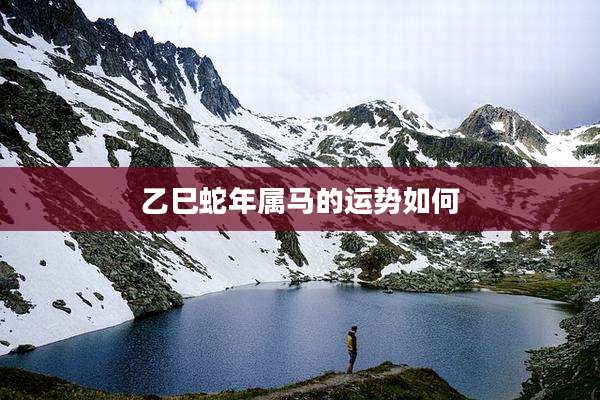 乙巳蛇年属马的运势如何