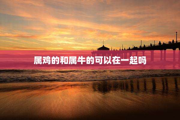 属鸡的和属牛的可以在一起吗