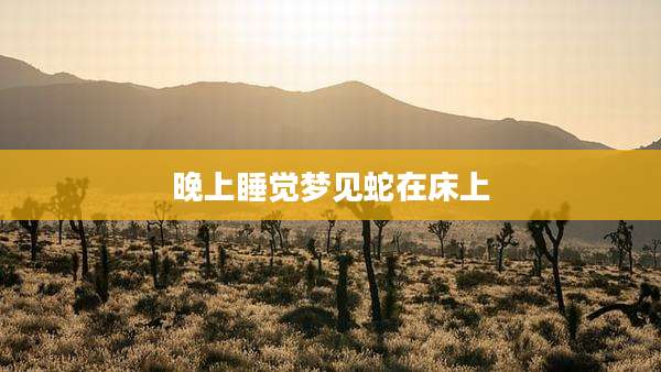 晚上睡觉梦见蛇在床上