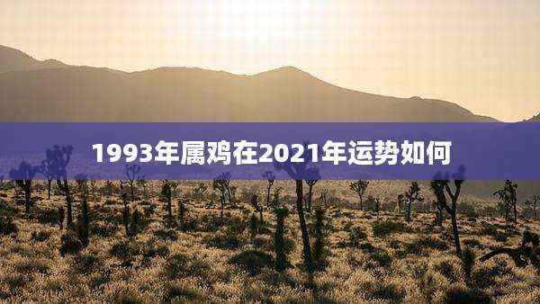 1993年属鸡在2021年运势如何