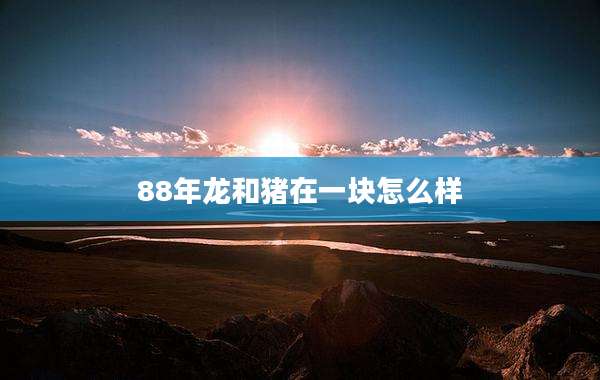88年龙和猪在一块怎么样