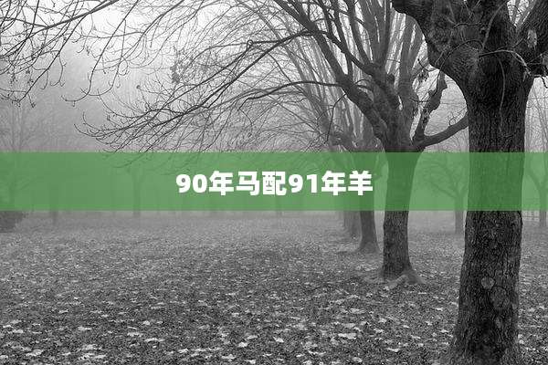 90年马配91年羊
