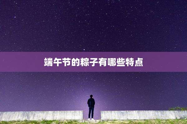 端午节的粽子有哪些特点