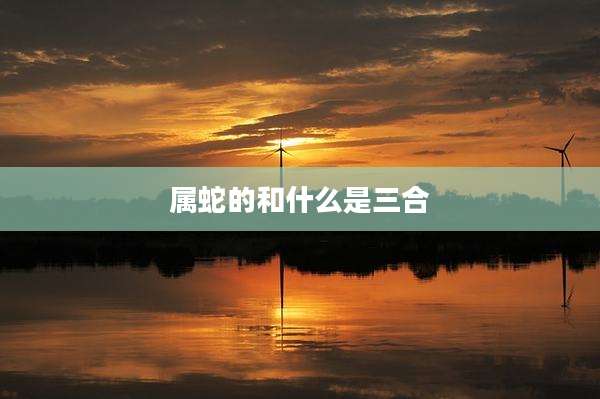 属蛇的和什么是三合