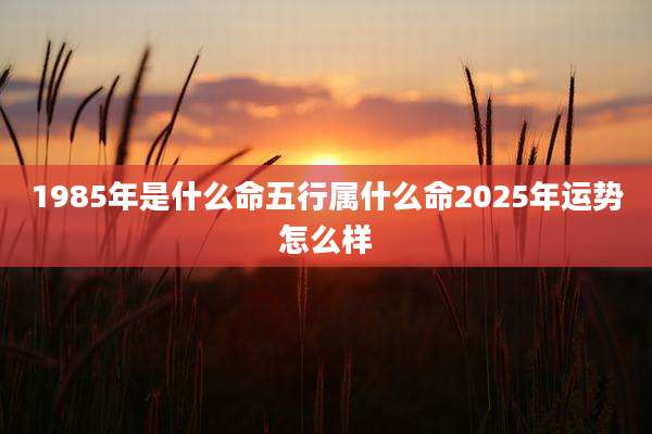 1985年是什么命五行属什么命2025年运势怎么样