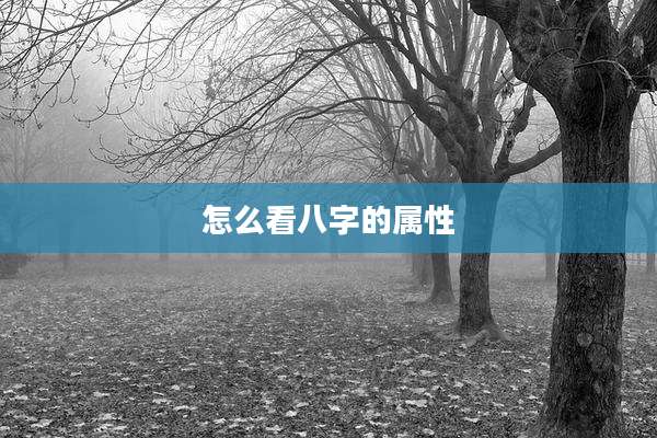 怎么看八字的属性