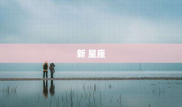新 星座