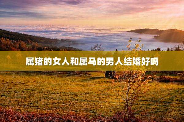 属猪的女人和属马的男人结婚好吗