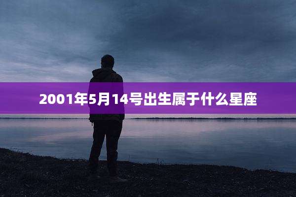 2001年5月14号出生属于什么星座