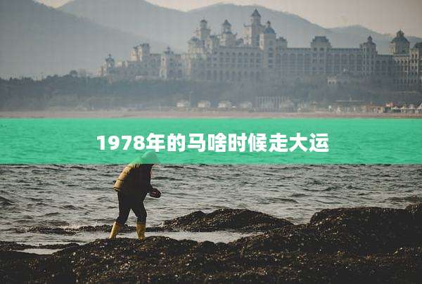 1978年的马啥时候走大运