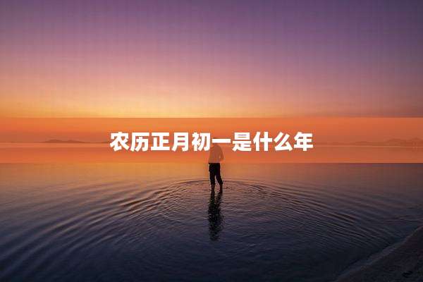 农历正月初一是什么年