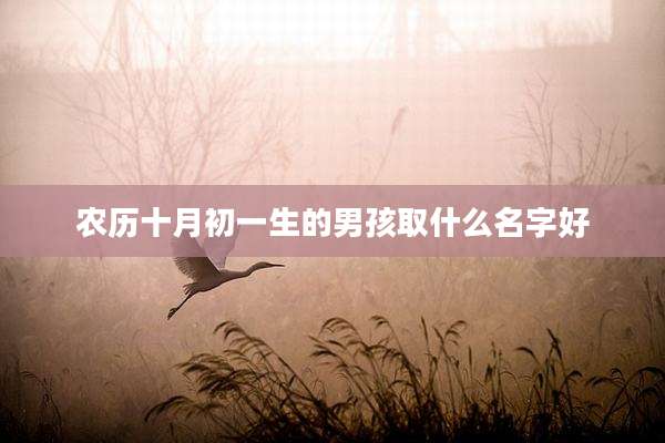 农历十月初一生的男孩取什么名字好