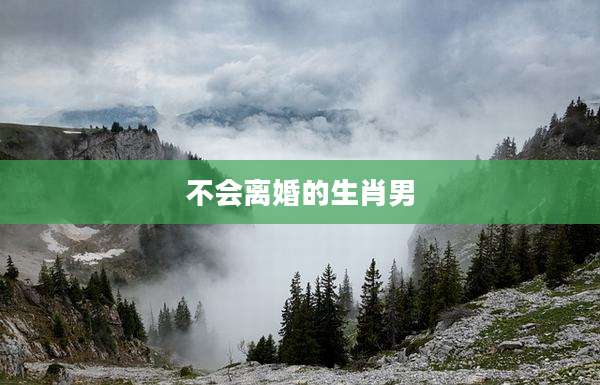 不会离婚的生肖男