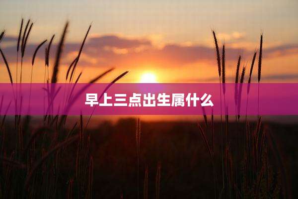 早上三点出生属什么