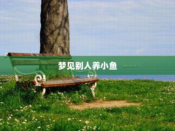 梦见别人养小鱼