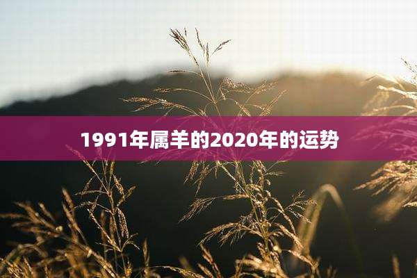 1991年属羊的2020年的运势