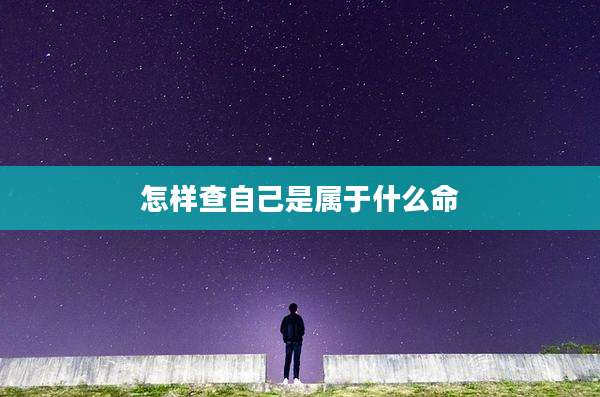 怎样查自己是属于什么命