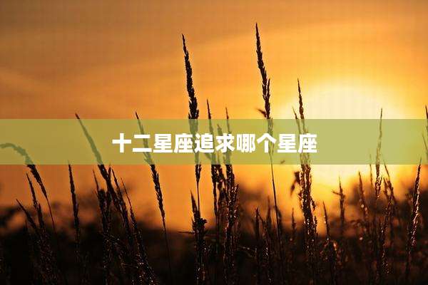十二星座追求哪个星座