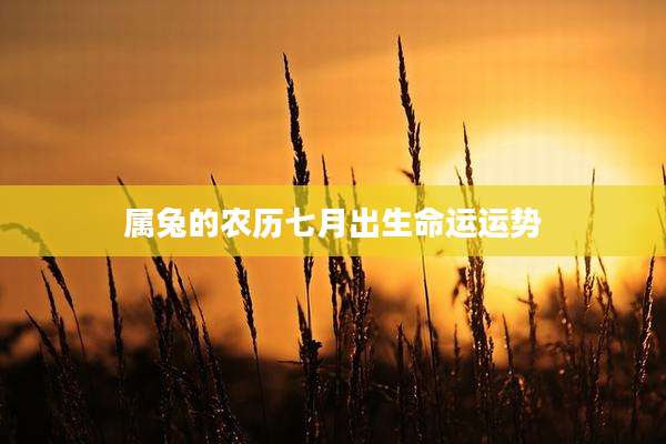属兔的农历七月出生命运运势