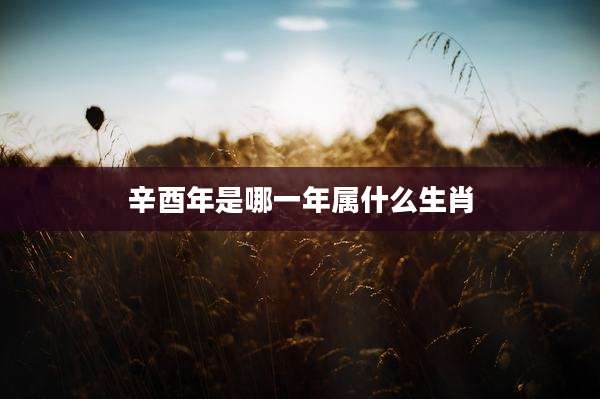 辛酉年是哪一年属什么生肖