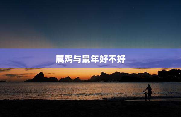 属鸡与鼠年好不好